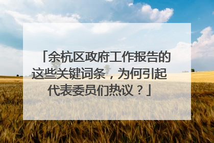 余杭区政府工作报告的这些关键词条，为何引起代表委员们热议？